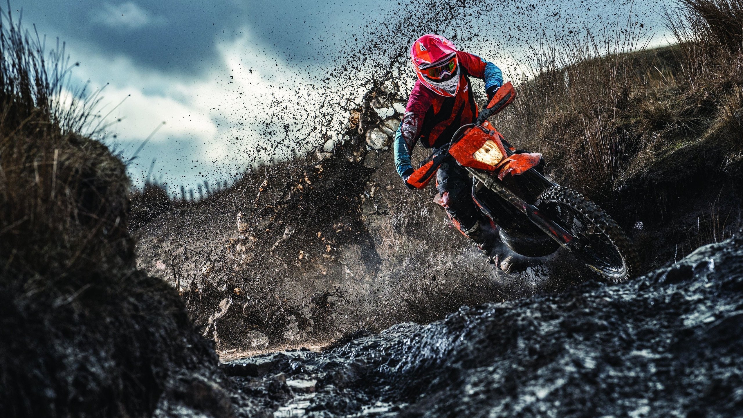 哈利伯顿接管2026世界杯，当公牛精神在篮球圣殿重生